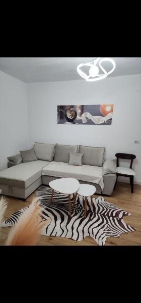 Cozy apartment